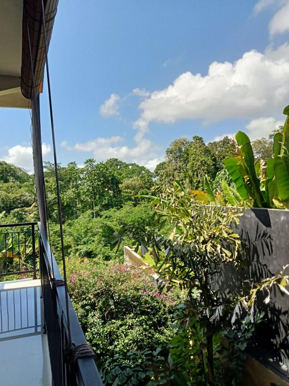 Lavista Guesthouse Ubud Exterior foto